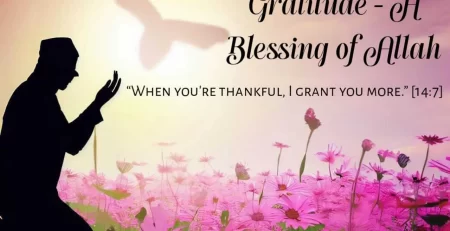 Gratitude- A Blessing of Allah