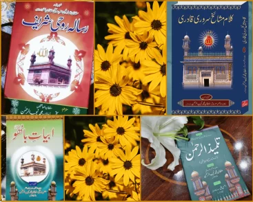 Sultan-ul-Ashiqeen Sultan Mohammad Najib-ur-Rehman Books in Urdu