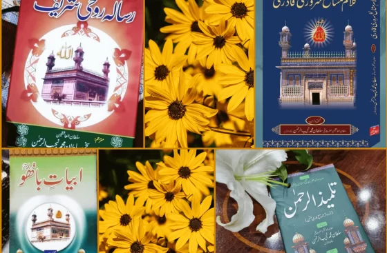 Sultan-ul-Ashiqeen Sultan Mohammad Najib-ur-Rehman Books in Urdu