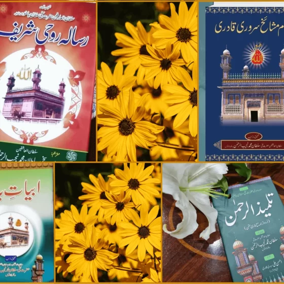 Sultan-ul-Ashiqeen Sultan Mohammad Najib-ur-Rehman Books in Urdu