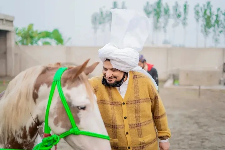 Sultan-ul-Ashiqeen's love for horses.